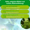 Purgrün Bananendünger 1 Liter Produktbild-Vorschau 3