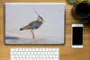 MuchoWow® Laptop Aufkleber Sticker Cover Vogel - Tiere - Produktbild-Vorschau 2