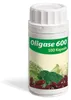 Oligase 600 gélules, 100 gélules Voir les images du produit 2