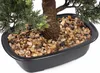 bümö plants Kunstpflanze Bonsai Bäumchen Produktbild-Vorschau 5