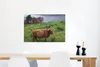 MuchoWow® Poster Schottische Highlander - Gras - Wasser - Produktbild-Vorschau 5