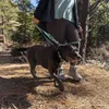 Ruffwear Hundeleine Crag™ Leash Grassy Oxbow Produktbild-Vorschau 5