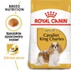 Royal Canin Cavalier King Charles Adult, Adult, Cavalier Produktbild-Vorschau 3