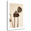 Leinwandbild Getrocknete Lotusblüten 40x60 Feeby Beige bild Produktbild-Vorschau 1