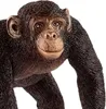 Schleich, Figurine Wildlife Männlicher Schimpanse aus den Produktbild-Vorschau 4