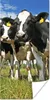 MuchoWow® Poster Kühe - Gras - Wiese - Tiere 20x40 cm - Produktbild-Vorschau 1