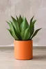 Vaso da fiori NEW RONDO in alluminio arancione 25x25 cm Anteprima dell’immagine prodotto 4