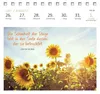 Postkartenkalender Ich wünsch dir was 2027 Produktbild-Vorschau 4