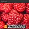 Walimex 17860, Makro objektiv Náhled obrázku produktu 6