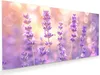 Glasbild 60x30cm in XXL für Wohnzimmer, Schlafzimmer Motiv Produktbild-Vorschau 1