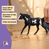 Paint Horse Wallach Náhľad obrázku produktu 15