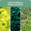 Lierac PHYTOLASTIL, Körperserum, Frauen, Jeder Hauttyp, Produktbild-Vorschau 6