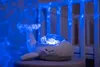 A plush whale night light is placed on a surface next to a crib, projecting blue light patterns. Anteprima dell’immagine prodotto
