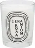 Świeca zapachowa Diptyque Geranium Rosa Podgląd zdjęcia produktu 2