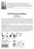 Kiepenkerl Pflanzkartoffel Gunda Solanum tuberosum 10 Stück Produktbild-Vorschau 2