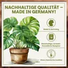 Green Home Monstera Erde 36 L – Substrat für Fensterblatt, Produktbild-Vorschau 7