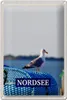 Blechschild Reise 20x30cm Nordsee Möwe Strand Meer Urlaub Produktbild-Vorschau 1