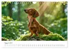 Zauberhafte Dackel (Wandkalender 2027 DIN A4 quer), Produktbild-Vorschau 3