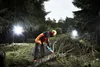 A person is using a chainsaw to cut a fallen tree in a forest at night, illuminated by bright lights. Náhled obrázku produktu