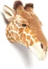 Ruby La Girafe Plüsch Trophäe Produktbild-Vorschau 6