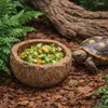 Paranussschale Natur Deko 7–10cm - Qurico Terrarium Produktbild-Vorschau 7