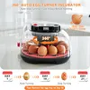 Incubateur automatique, incubateur pour 12 œufs, couveuse Voir les images du produit 3
