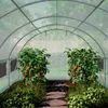 TOOLPORT Tunel foliowy Szklarnia foliowa 2x3m z oknami - Podgląd zdjęcia produktu 20