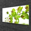 Acrylglasbilder 100x50 Wandbild Druck Blumen Pflanzen Produktbild-Vorschau 2