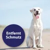 Canosept Ohrreiniger 125 ml Produktbild-Vorschau 2