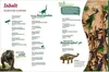 Tessloff WAS IST WAS Dinosaurier. Superechsen der Urzeit Produktbild-Vorschau 3