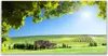Tulup Leinwand-Bilder 120x60 Wandbild Canvas Kunstdruck Produktbild-Vorschau 1