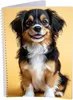 Collegeblock – 5 Stück – Hund - A4 – liniert - 80 Blatt – Produktbild-Vorschau 1