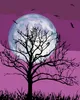 Zuty - Malen nach Zahlen - MOND AM VIOLETTEN HIMMEL, 40x50 Produktbild-Vorschau 1