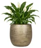 Floran Blumentopf Mira - gold - beschichtete Keramik - 24 Produktbild-Vorschau 1