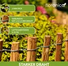 Floranica Staketenzaun aus Haselnuss mit Pfosten 35 cm hoch Produktbild-Vorschau 4