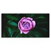 DEQORI Hybrid Leinwand Bild 60x30 cm 'Rosa Blütenzauber' Produktbild-Vorschau 2