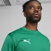 Puma Teamgoal Trainingssweat Herren - Grün Produktbild-Vorschau 4