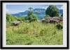Bild - Bilderrahmen - 100 cm x 70 cm - MDF - Rahmen - Foto Produktbild-Vorschau 1