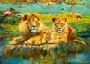 Ravensburger, Africká zvířata, puzzle 2× 1000 dílků Náhled obrázku produktu 2