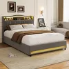 ProximaX Polsterbett 140x200 cm Grau Samt mit Stauraum, 4 Produktbild-Vorschau 4