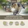 Provicell EM Vital 250 ml | Probiotika Katze | Natürliche Produktbild-Vorschau 5
