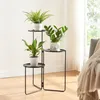 A multi-tiered plant stand with three potted plants, placed indoors near a window. Voir les images du produit