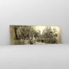 Bilder auf glas - Park Spaziergang Baum - 90x30cm - Produktbild-Vorschau 4