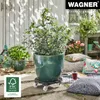 WAGNER Pflanzenroller WPC Ø 38,5 x 11 cm, für außen & Produktbild-Vorschau 3