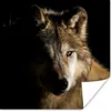 MuchoWow® Poster Polarwolf 50x50 cm - Wohnzimmerdekoration Produktbild-Vorschau 1