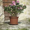 euro3plast 148-801 MEDEA Dessous de plat pour 64cm, Voir les images du produit 6