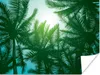MuchoWow® Poster Das Blätterdach der Palmen und die Sonne Produktbild-Vorschau 1