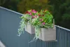 Balkonkasten - 11L - Selbstbefruchtend - 60Cm - Beige Produktbild-Vorschau 7