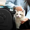 Transportbox Hundebox im Schwarz Hundetransportbox Produktbild-Vorschau 6