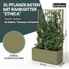 XL Spalier 'Ethica' mit Pflanzkübel Breit 80x36x140 cm - Produktbild-Vorschau 2